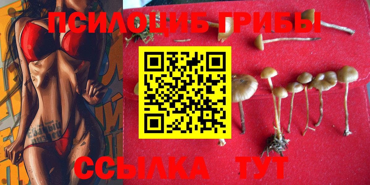 Галлюциногенные грибы ЛСД  Псилоцибиновые грибы GOLDEN TEACHER  Великий Новгород  Вход с VPN 